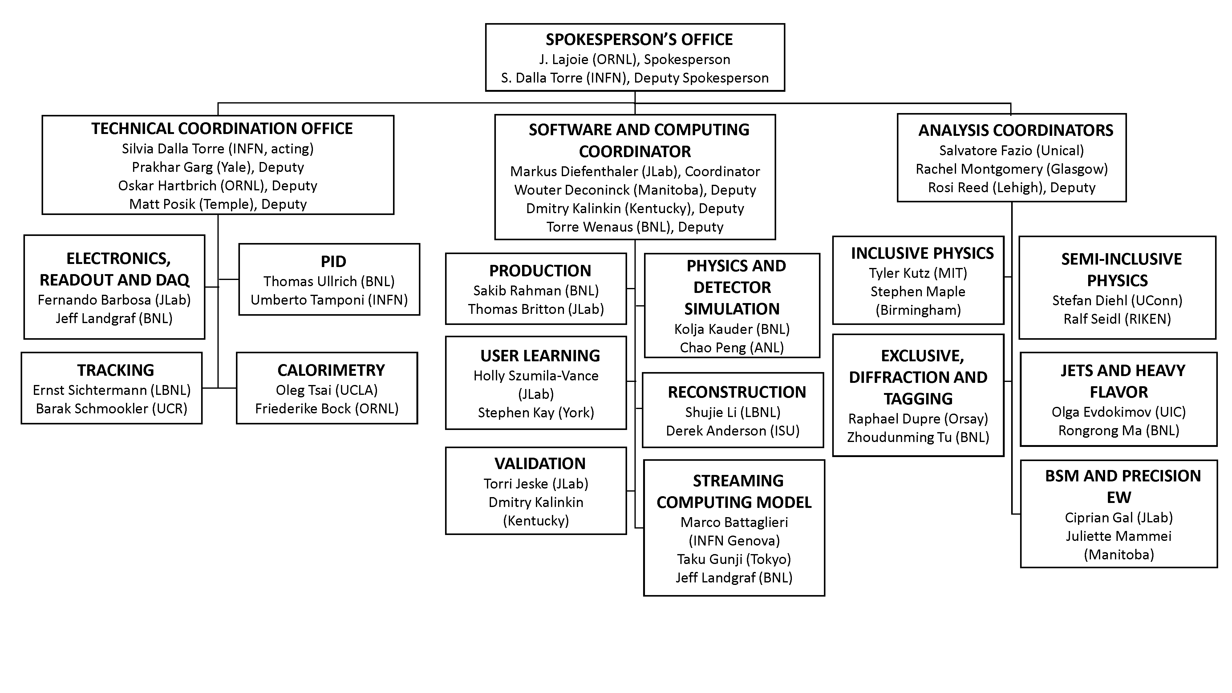 ePIC Working Groups